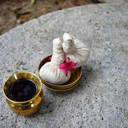 The Royal Heritage Hotel And Ayurvedic Center Thiruvananthapuram Екстериор снимка